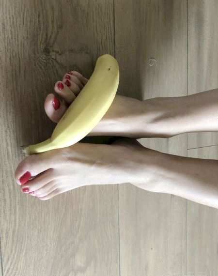 一级片红楼梦