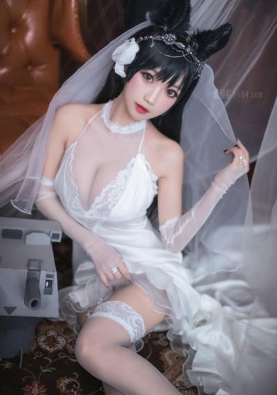 炮神电视剧免费观看全集高清版