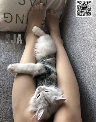 绯红女巫三级未删减在线观看