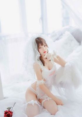 美丽小蜜蜂