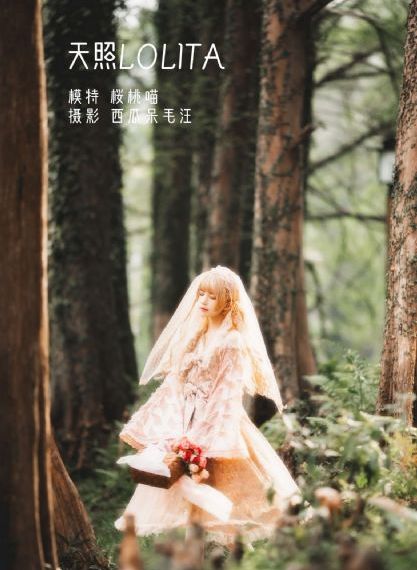 1—40集电视剧免费观看40集