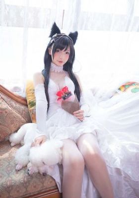 香肠派对动画片