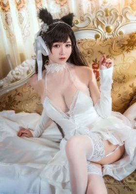 掌中之物电视剧
